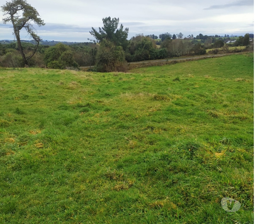 Parcelas en Venta Chiloé Ancud - Fotos de Parcela 5.200 m2 - Sector Pumanzano - Ancud - Chiloe