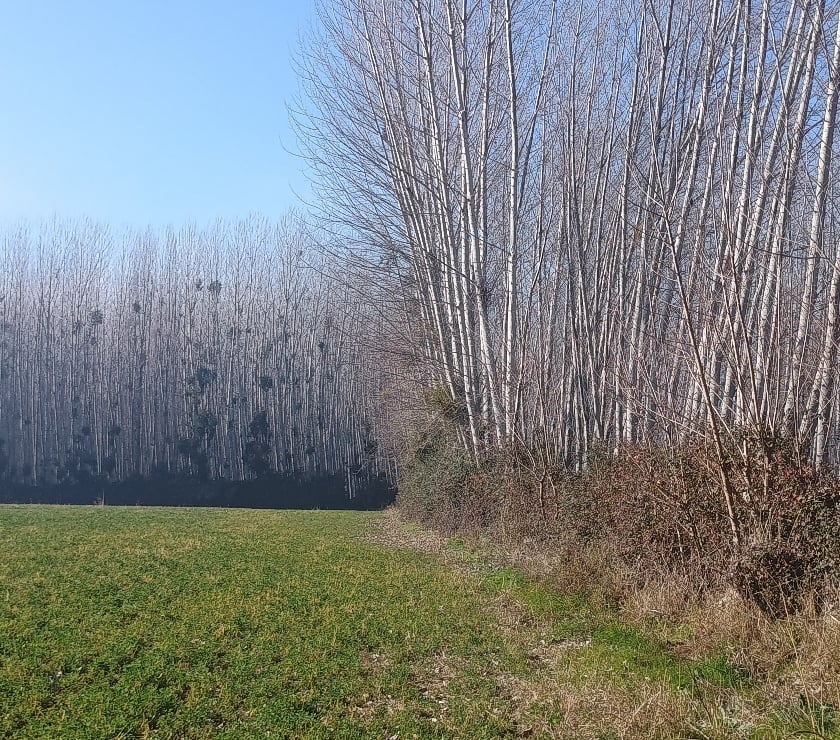 PARCELA DE AGRADO EN IDAHUE , COLTAUCOJIKKO