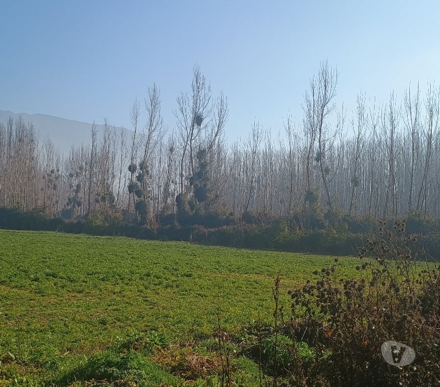 Bienes Raices Cachapoal Coltauco - Fotos de PARCELA DE AGRADO EN IDAHUE , COLTAUCO