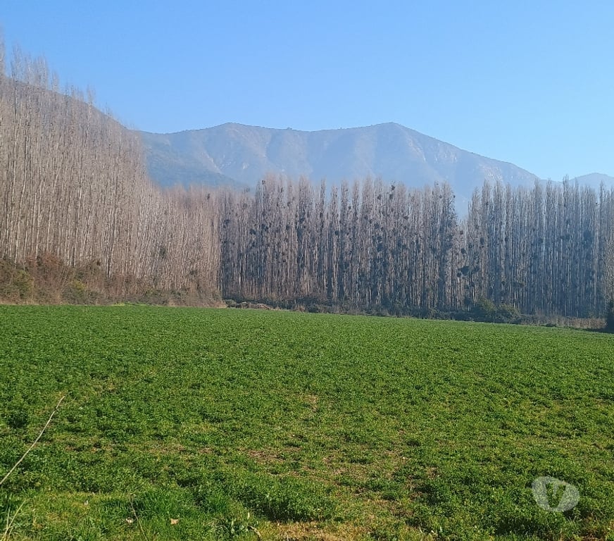 Bienes Raices Cachapoal Coltauco - Fotos de PARCELA DE AGRADO EN IDAHUE , COLTAUCO