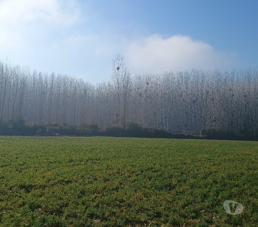 Bienes Raices Cachapoal Coltauco - Fotos de PARCELA DE AGRADO EN IDAHUE , COLTAUCO