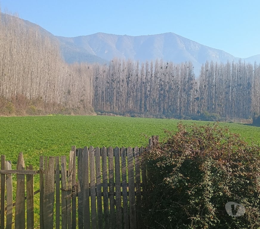 Bienes Raices Cachapoal Coltauco - Fotos de PARCELA DE AGRADO EN IDAHUE , COLTAUCO