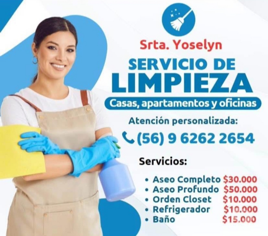Otros Servicios Santiago Providencia - Fotos de Limpieza y aseo, casa, departamento, oficina, bodegas y más