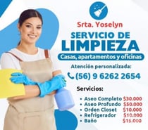 Limpieza y aseo, casa, departamento, oficina, bodegas y más