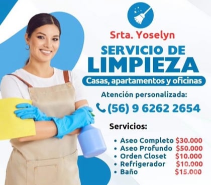 Otros Servicios Providencia Santiago - Fotos de Limpieza y aseo, casa, departamento, oficina, bodegas y más