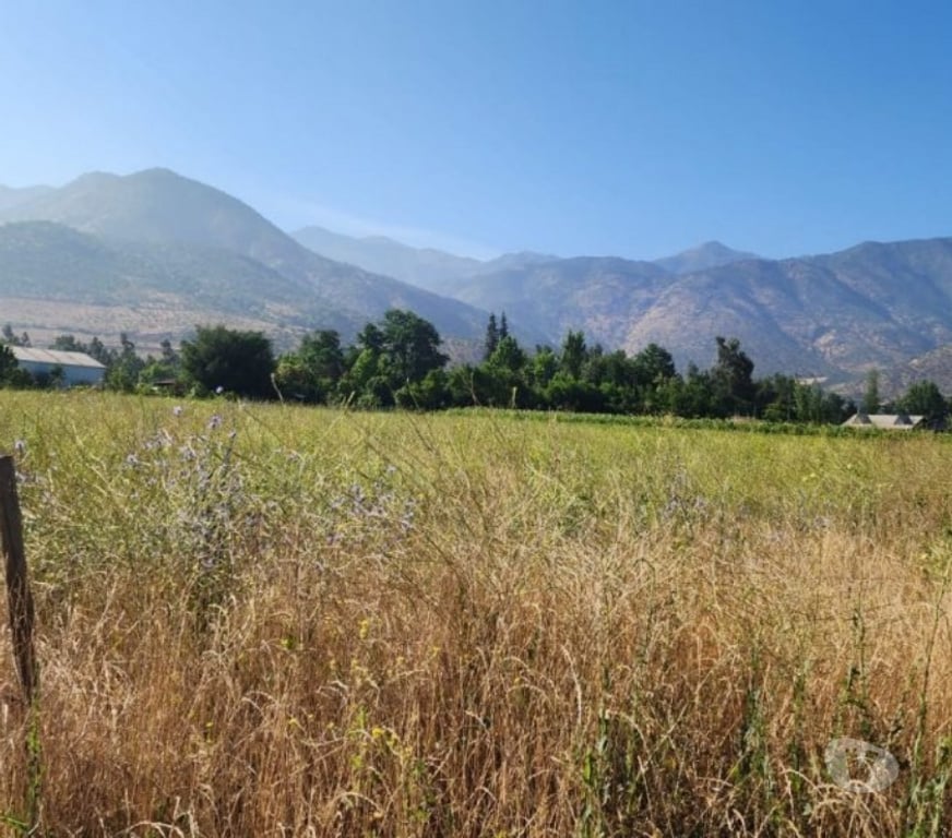 Parcelas en Venta Cachapoal Requíno - Fotos de Parcela en Requinoa Sector Pinpinela