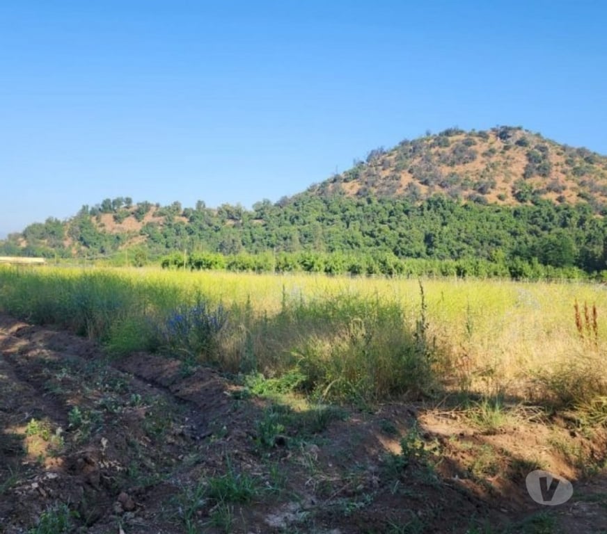 Parcelas en Venta Cachapoal Requíno - Fotos de Parcela en Requinoa Sector Pinpinela