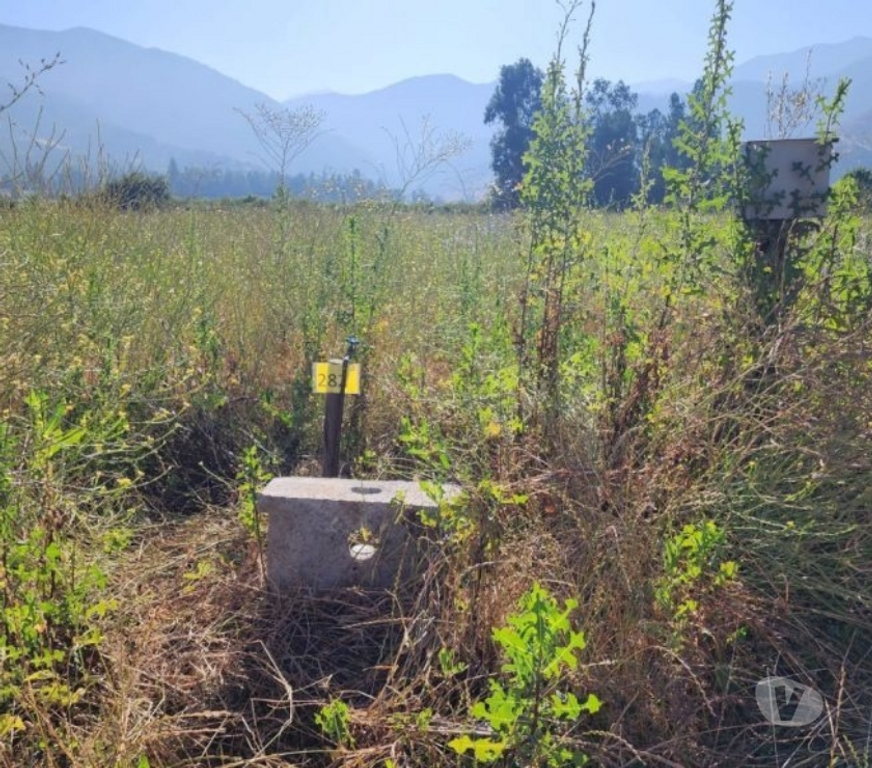 Parcelas en Venta Cachapoal Requíno - Fotos de Parcela en Requinoa Sector Pinpinela