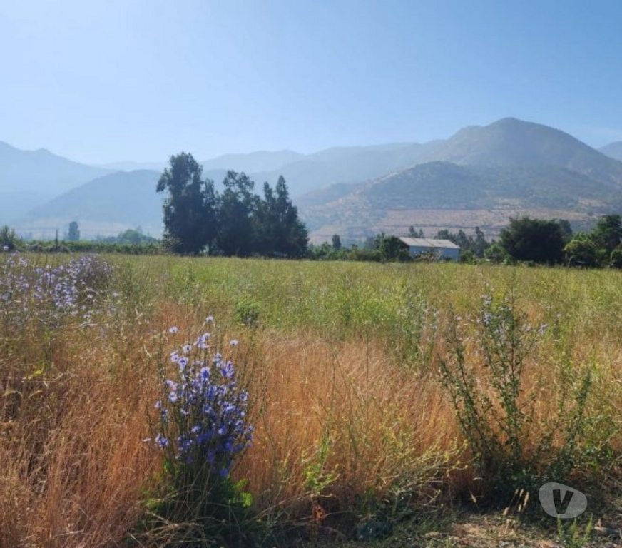 Parcelas en Venta Cachapoal Requíno - Fotos de Parcela en Requinoa Sector Pinpinela