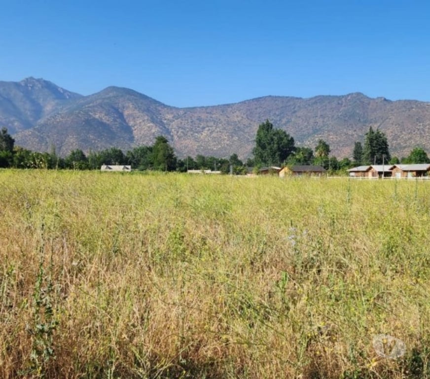 Parcelas en Venta Cachapoal Requíno - Fotos de Parcela en Requinoa Sector Pinpinela