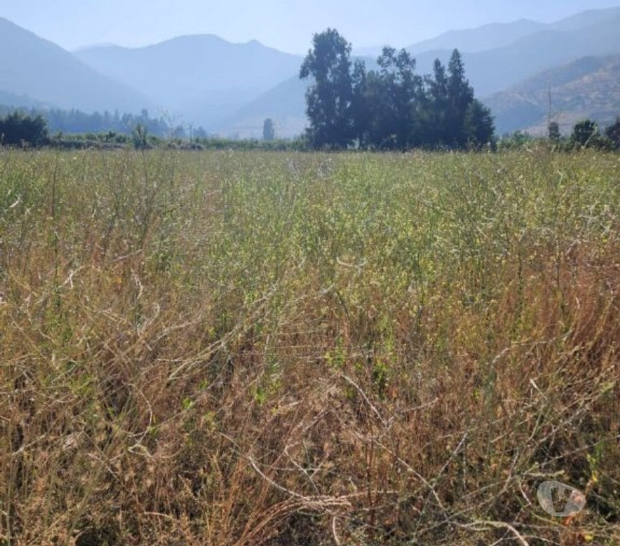 Parcelas en Venta Cachapoal Requíno - Fotos de Parcela en Requinoa Sector Pinpinela