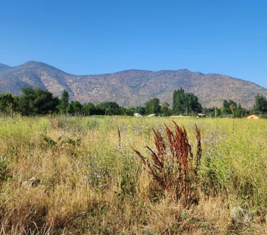 Parcelas en Venta Cachapoal Requíno - Fotos de Parcela en Requinoa Sector Pinpinela