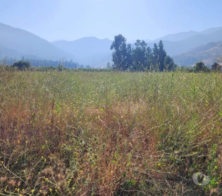 Parcelas en Venta Cachapoal Requíno - Fotos de Parcela en Requinoa Sector Pinpinela