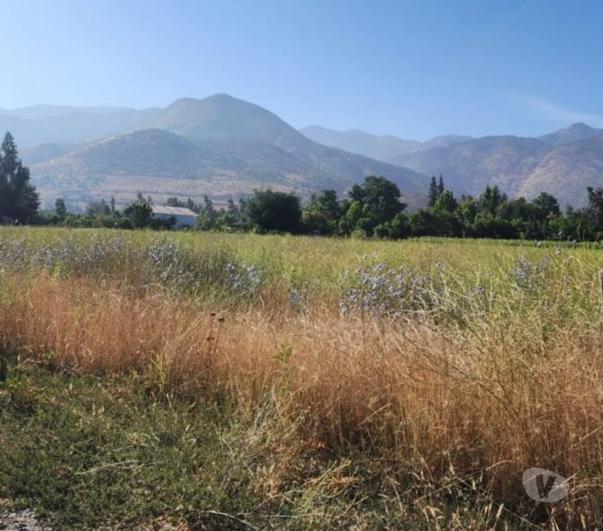 Parcelas en Venta Cachapoal Requíno - Fotos de Parcela en Requinoa Sector Pinpinela