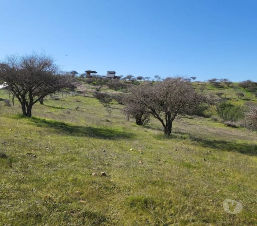 Parcelas en Venta Cardenal Caro Marchihue - Fotos de Terreno en Marchigue
