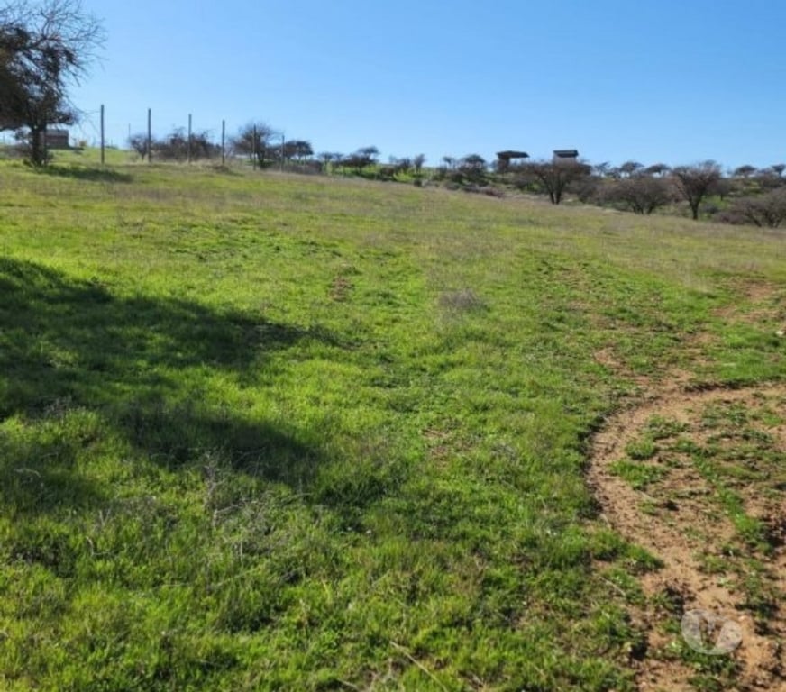 Parcelas en Venta Cardenal Caro Marchihue - Fotos de Terreno en Marchigue
