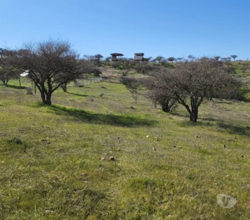 Parcelas en Venta Cardenal Caro Marchihue - Fotos de Terreno en Marchigue