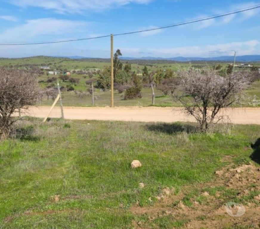 Parcelas en Venta Cardenal Caro Marchihue - Fotos de Terreno en Marchigue
