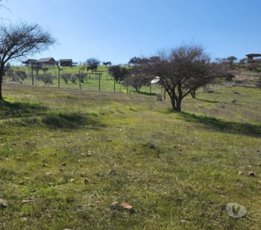 Parcelas en Venta Cardenal Caro Marchihue - Fotos de Terreno en Marchigue