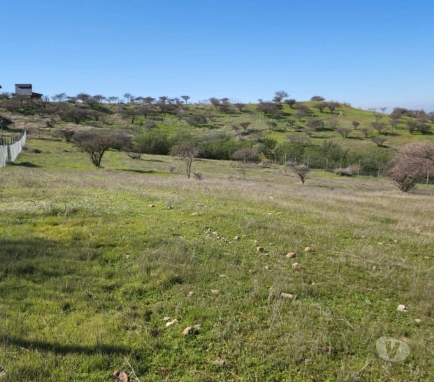 Parcelas en Venta Cardenal Caro Marchihue - Fotos de Terreno en Marchigue