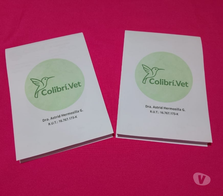 Otros Servicios Santiago Santiago - Fotos de carnets veterinarios y recetarios personalizados