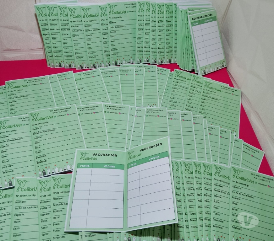 Otros Servicios Santiago Santiago - Fotos de carnets veterinarios y recetarios personalizados