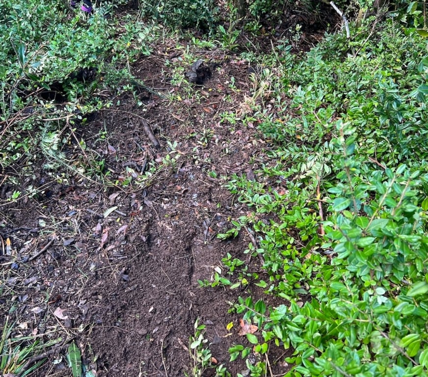 Bienes Raices Llanquihue Maullí - Fotos de En venta Terreno de 10 ht. en Quenuir Maullin