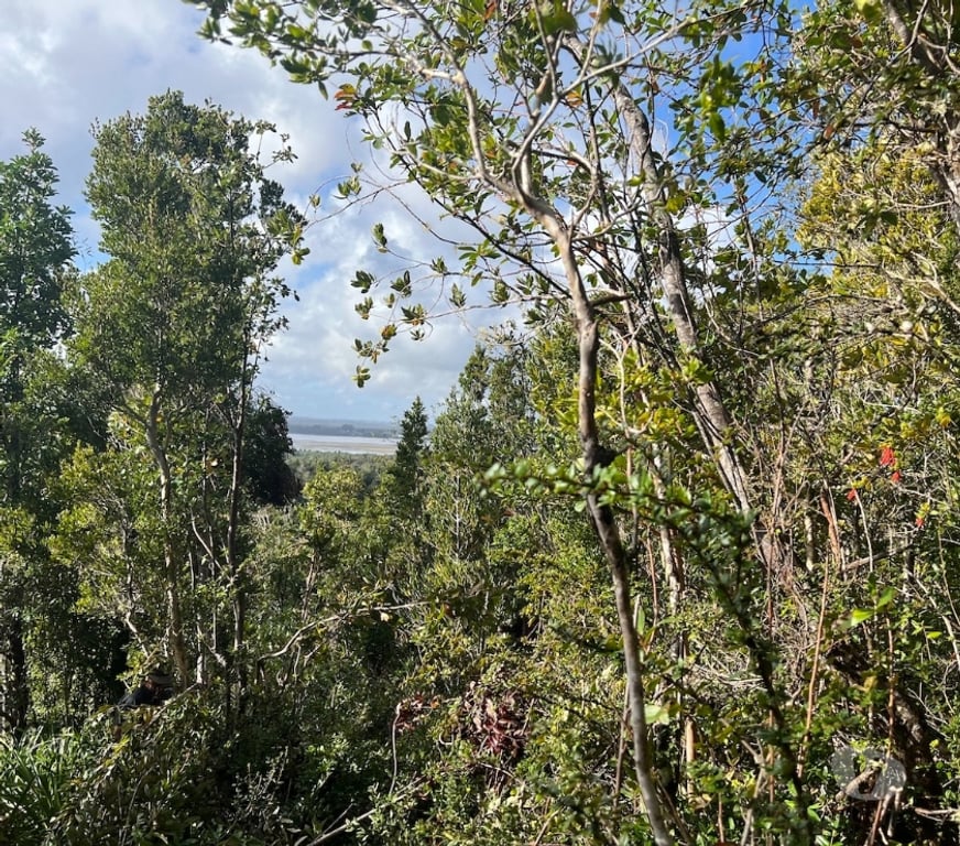 Bienes Raices Llanquihue Maullí - Fotos de En venta Terreno de 10 ht. en Quenuir Maullin