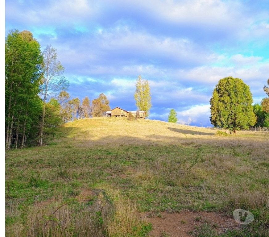 Bienes Raices Cautín Villarrica - Fotos de Casa de ensueño en la comuna de Villarrica