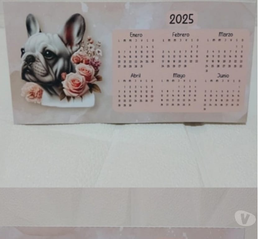 Otros Servicios Santiago Santiago - Fotos de calendariosde escritorios anillados y otros