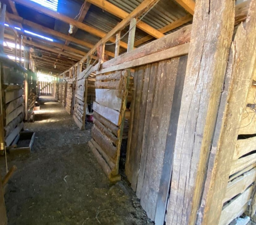 Parcelas en Venta Valdivia Mariquina - Fotos de SE ARRIENDA PARCELA EN SAN JOSÉ DE LA MARIQUIN SECTOR PUILE
