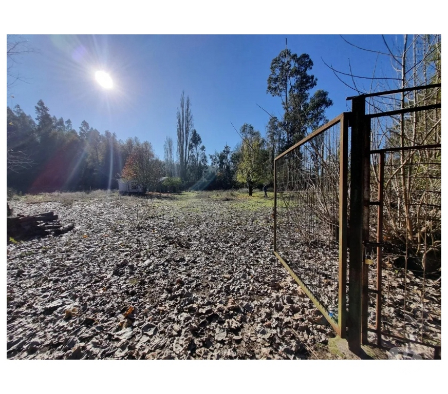 Parcelas en Venta Concepción Hualqui - Fotos de Terreno Con Casa En Quilacoya, Hualqui