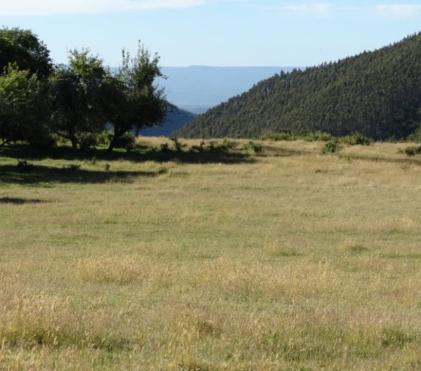 VENTA DE TERRENO EN FRESIA.