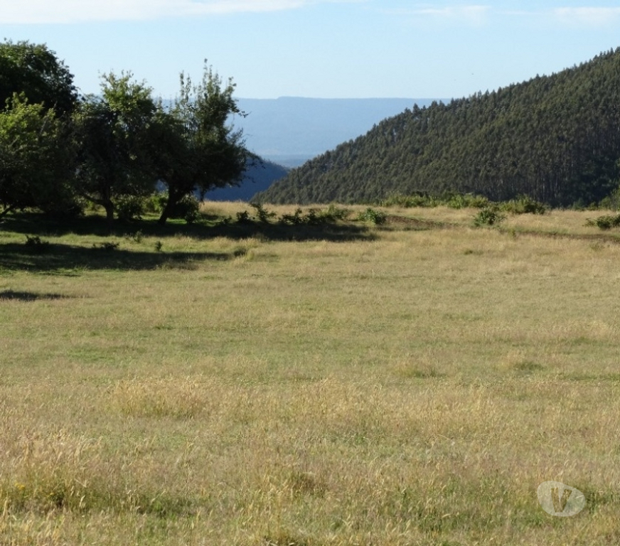 Parcelas en Venta Llanquihue Fresia - Fotos de VENTA DE TERRENO EN FRESIA.