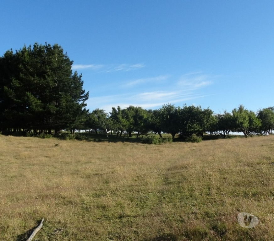 Parcelas en Venta Llanquihue Fresia - Fotos de VENTA DE TERRENO EN FRESIA.
