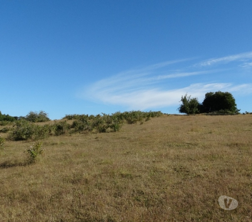 Parcelas en Venta Llanquihue Fresia - Fotos de VENTA DE TERRENO EN FRESIA.