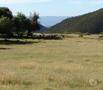 Fotos de VENTA DE TERRENO EN FRESIA.