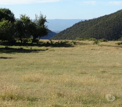 Parcelas en venta Fresia Llanquihue - Fotos de VENTA DE TERRENO EN FRESIA.
