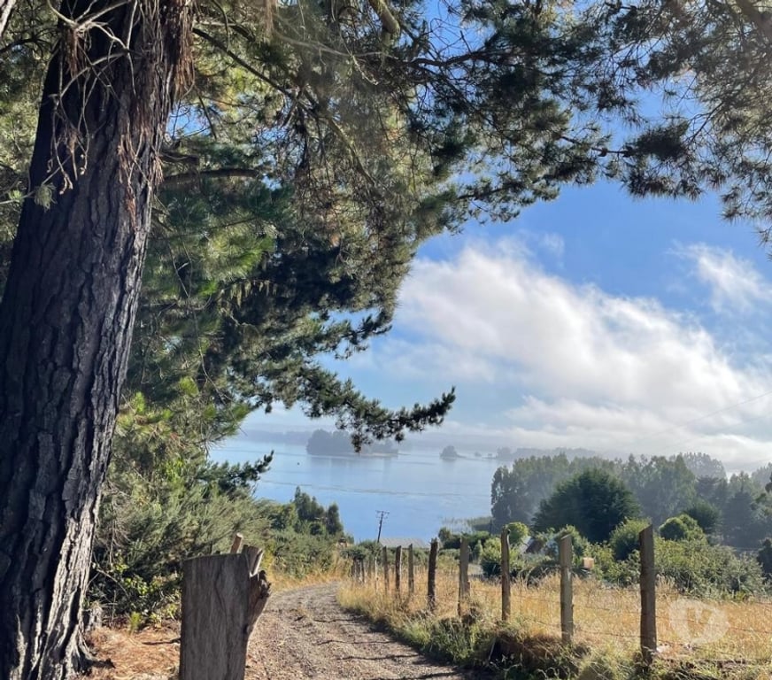 Parcelas en Venta Cautín Saavedra - Fotos de venta de terreno - indigena