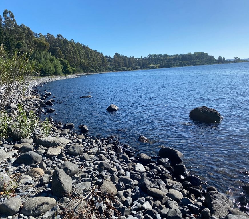 Venta de Haciendas Ranco Lago Ranco - Fotos de Se vende campo con orilla de lago