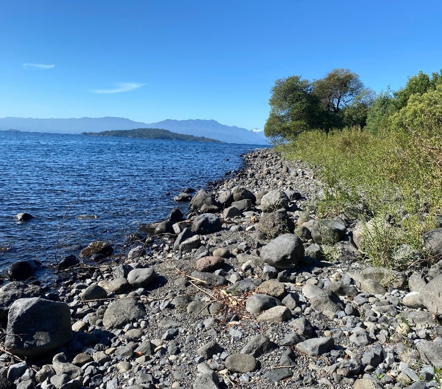 Venta de Haciendas Ranco Lago Ranco - Fotos de Se vende campo con orilla de lago