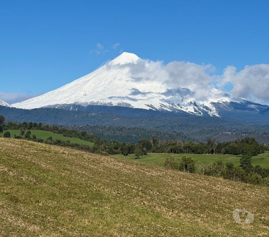 Venta de Haciendas Osorno Puerto Octay - Fotos de Vendió predio fundo en lago Rupanco