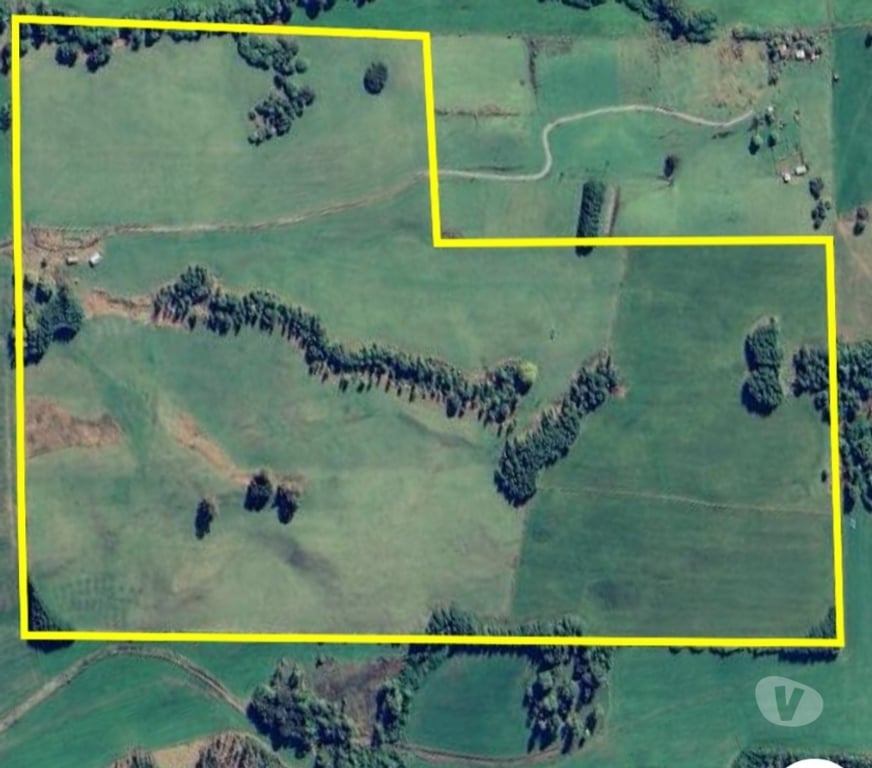Venta de Haciendas Osorno Puerto Octay - Fotos de Vendió predio fundo en lago Rupanco