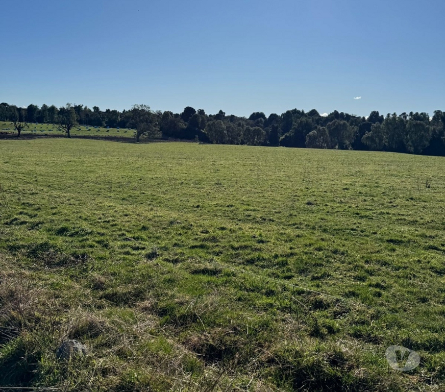 Venta de Haciendas Osorno Puerto Octay - Fotos de Vendió predio fundo en lago Rupanco