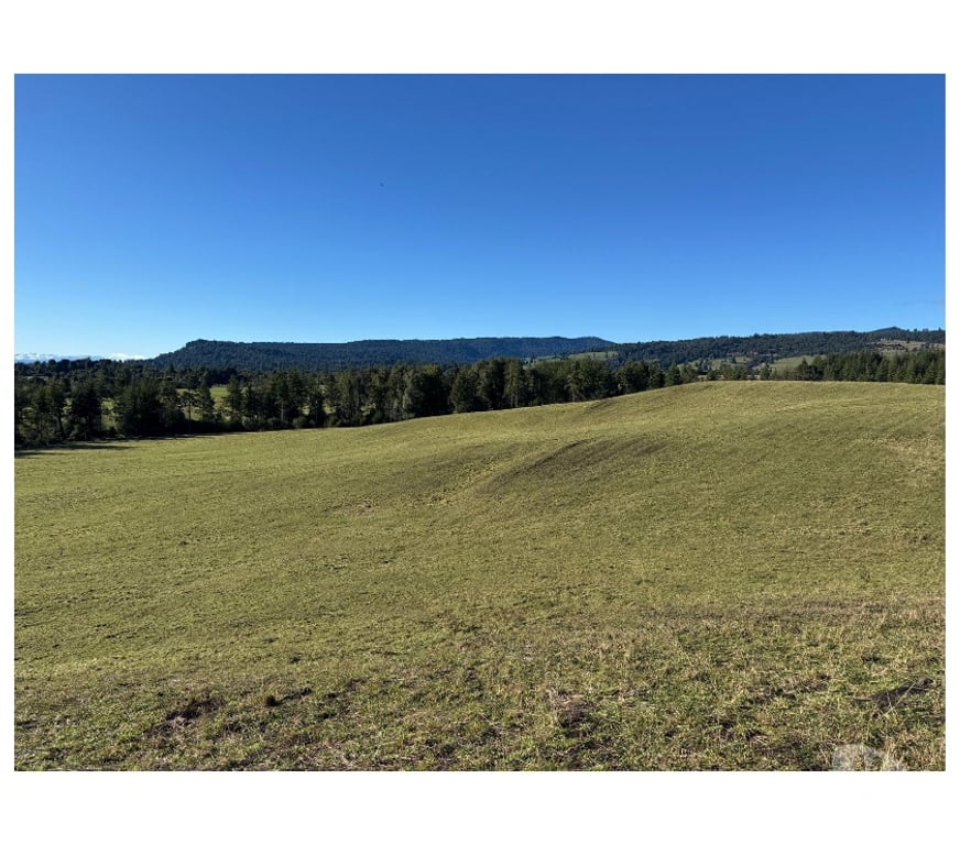 Venta de Haciendas Osorno Puerto Octay - Fotos de Vendió predio fundo en lago Rupanco