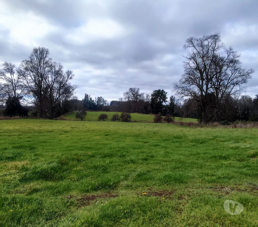 Venta de Haciendas Osorno Osorno - Fotos de Vendo predio fundo en Osorno