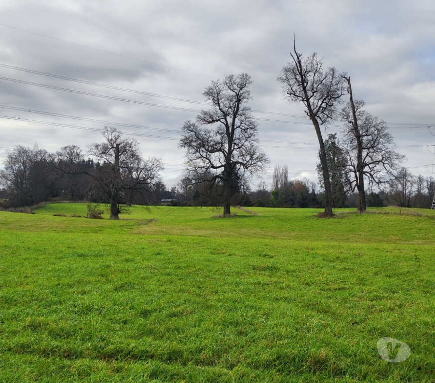 Venta de Haciendas Osorno Osorno - Fotos de Vendo predio fundo en Osorno