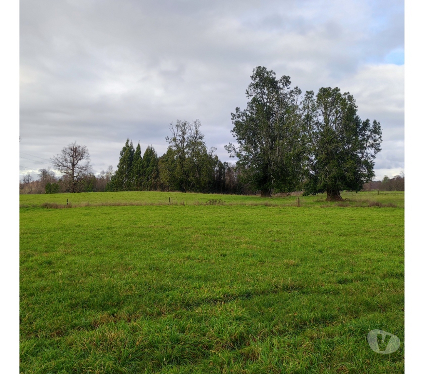 Venta de Haciendas Osorno Osorno - Fotos de Vendo predio fundo en Osorno