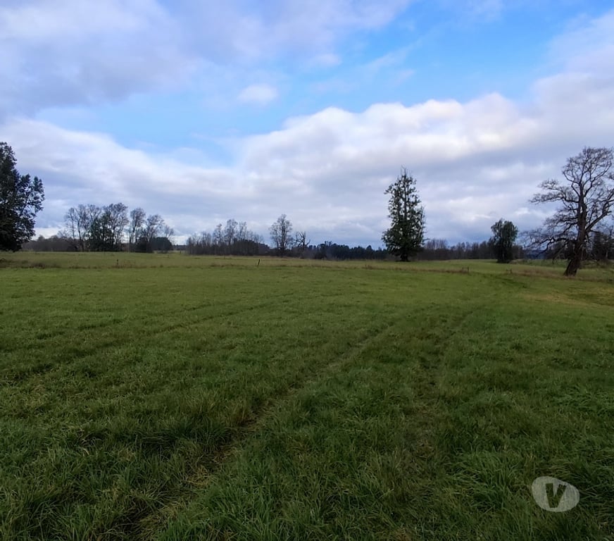 Venta de Haciendas Osorno Osorno - Fotos de Vendo predio fundo en Osorno