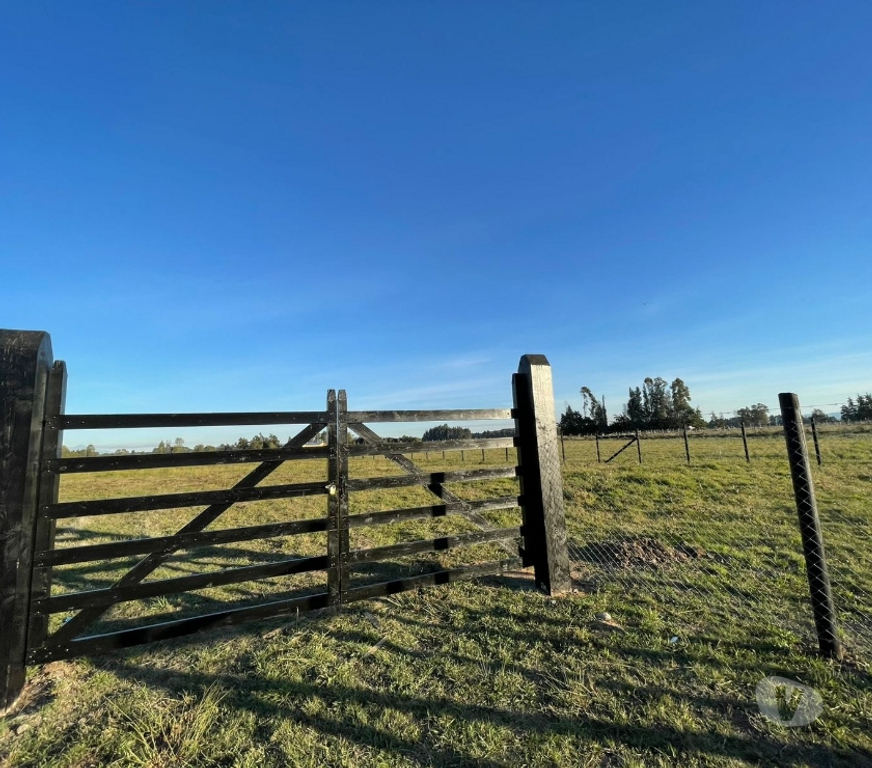Parcelas en Venta Cautín Freire - Fotos de Vendo Parcela de Agrado en Araucanía Sur